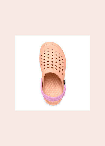 Жіночі шльопанці сабо Womens Modern Clog Melon White, розмір 37,5 устілка 24,5см (оранж) Joybees (350879171)