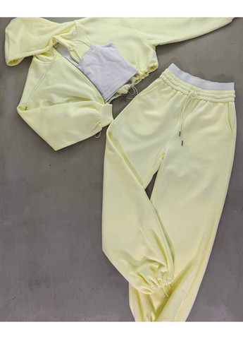 Спортивний костюм трійка Україна (349817889)