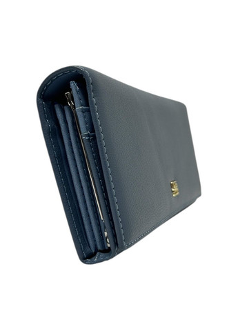 Жіночий гаманець з еко-шкіри C-0923 блакитний 19 x 8,5 x 3 Saralyn (367263933)