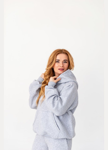 Сіре тепле зимове жіноче худі оверсайз з написом з малюнком з капюшоном з довгими рукавами No Brand (314838719)