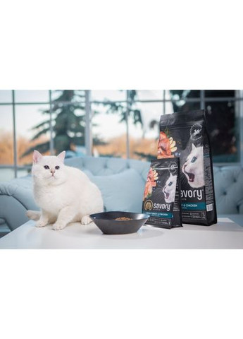 Сухий корм для кошенят всіх порід, зі свіжою індичкою та куркою, 2 кг Savory (322874441)