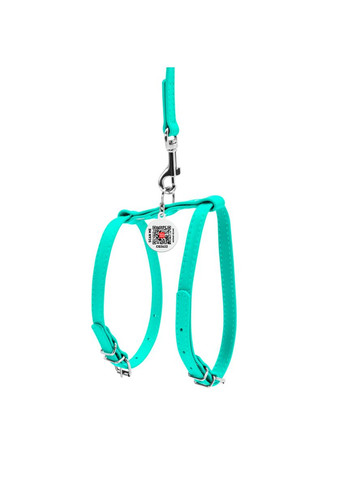 Шлея з повідцем для собак шкіряна Glamour Ш 12 мм, А 25-33 см В 35-43 см Ментоловий WAUDOG (322125336)