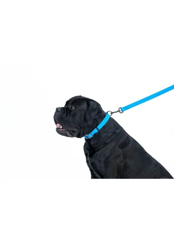 Повідець для собак водостійкий WAUDOG Waterproof, M, Ш 20 мм, Дов 122 см Collar (362581685)