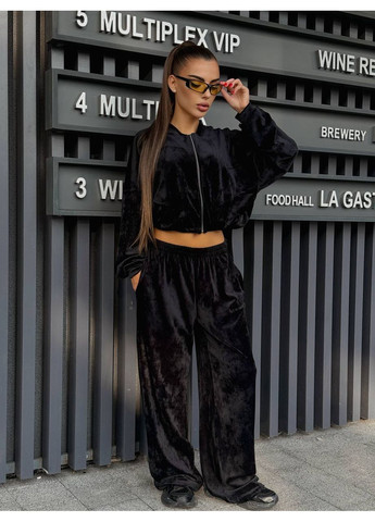 Жіночий велюровий спортивний костюм FINO Mode (361659379)