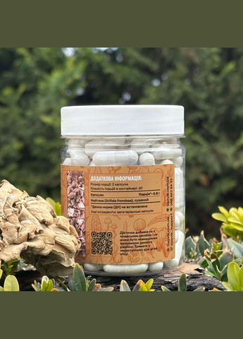 Мікродозинг Майтаке, капсули 120 шт по 0.4 г Лісовик (334292873)