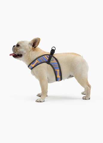 Шлея Comfort Колосок S обхват грудной клетки 36-42 см (2100103104013) Hi Dog (320761054)