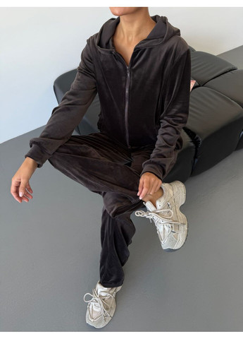 Жіночий спортивний костюм з капюшоном з велюру No Brand (361447414)