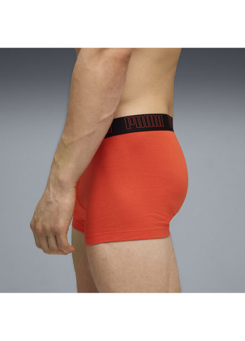 Мужское нижнее белье Men's Trunks 2 pack Puma (351596137)