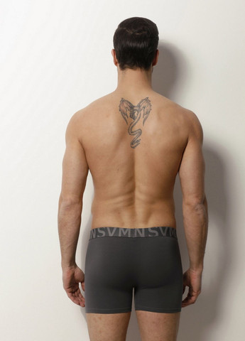 Набір трусів чоловічих шортів Sevim (313031955)