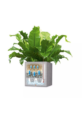 Умный вазон Canto Stone 30 low 12 л кварцевый белый 13707 Lechuza (316627722)