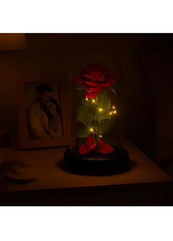 Ночник светильник роза в колбе с теплой белой светодиодной LED подсветкой работой от батареек 21 см (480249-Prob) Unbranded (332256938)