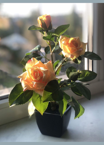 Троянда чайна штучний кущ в горщику 29 см HVOYA (328908629)