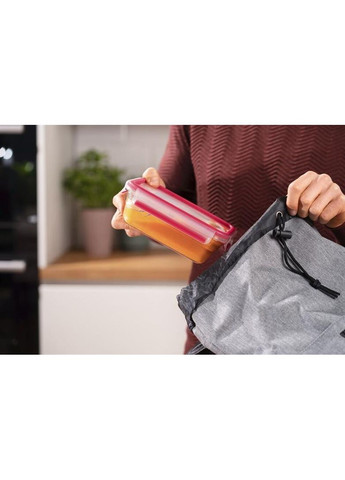 Форма універсальна з кришкою MasterSeal glass 0.7 л (N1040610) Tefal (351855456)