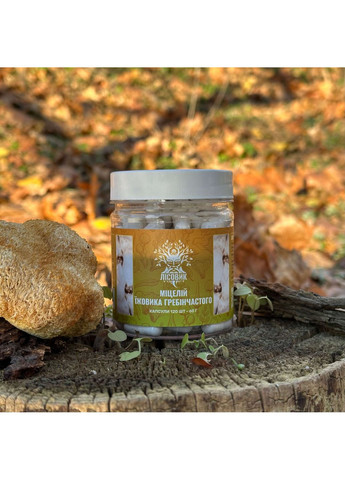 Міцелій їжовика гребінчастого у капсулах 120 шт по 0,5 г Лісовик (334711141)