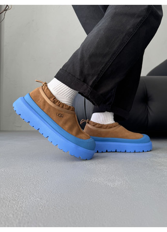Кроссовки женские и мужские UGG Tasman Hybrid Chestnut Blue | Угі Тасман Гібрид голубые демисезоны (371995114)