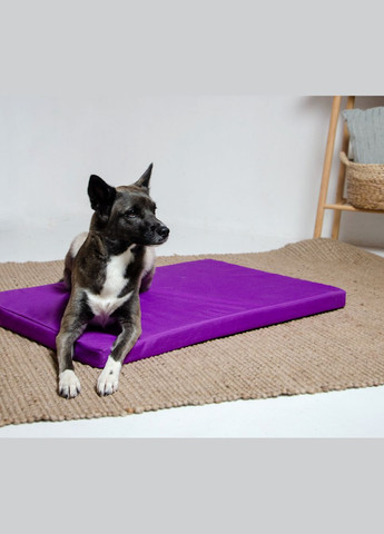 Матрац Харлей для собак і кішок №2 45 x 50 x 5 см Фіолетовий (4820224213040) Lucky Pet (279561863)