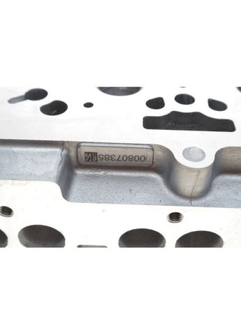 Головка блоку циліндрів 908718 AMC (347151384)