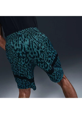 Шорти Icon Dri-Fit Turquoise HM9213-345 Nike (398045967)