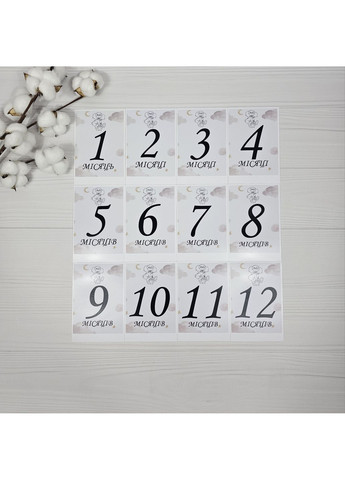 Подарочный набор для малыша A.L.Babybox Панды акробаты с пледом/игрушками и картами для фотосессии Мятный No Brand (353719919)