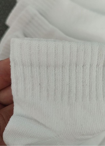 Шкарпетки дитячі бавоняні 6 пар Житомир DS 847/6 Lomani (360564137)