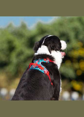 Шлея для собак Tropical, регулируемая светоотражающая нейлоновая шлея, Голубой M (56-69см) Truelove (299915436)