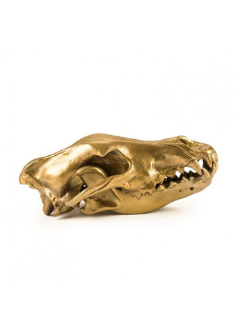 Фигура волчий череп "Diesel-wolf skull" 14 x 28 х 12 см Seletti (290561871)