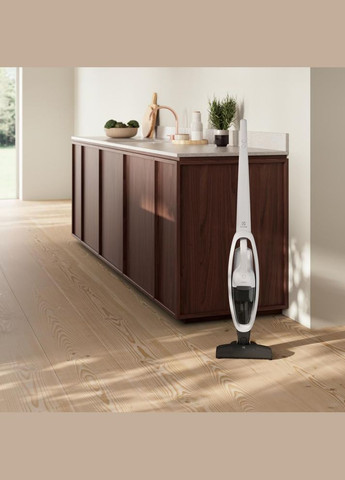 Вертикальний+ручний пилосос (2в1) ES31CB18SH Electrolux (314931018)