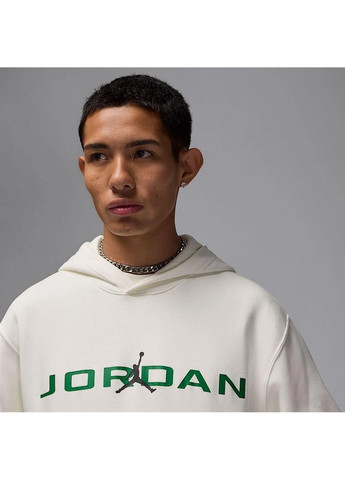 Кофта чоловіча M J Ess Jd Air (HQ4643-133) Jordan (370780258)