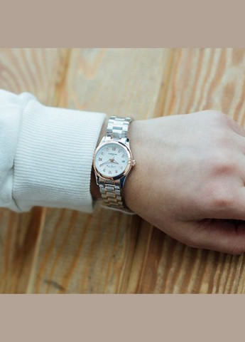 White Carnival (346528649)