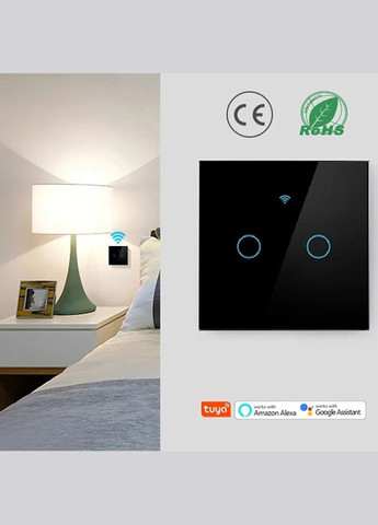 Wi-Fi Вимикач світла на дві клавіші (чорний) No Brand (334302278)