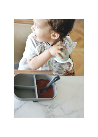 Тарелка силиконовая порционная минерал, арт. 913548 Beaba (369668998)