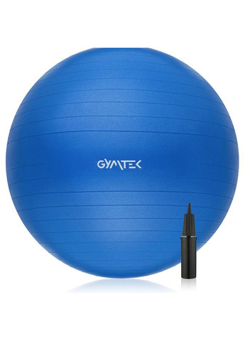 Фітбол 65см + насос Gymtek (303126800)