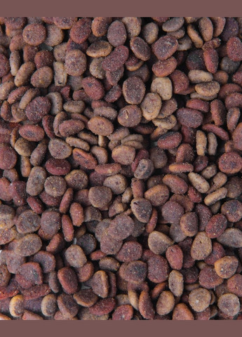 Сухой корм для взрослых кошек True Fresh Cat Chicken с курицей 4.8 кг (8595602561490) Carnilove (307981484)