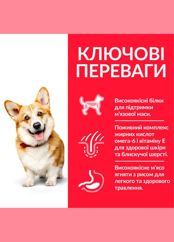 Сухий корм для собак дрібних порід Science Plan Adult Small & Mini Lamb з ягнятком 1.5 кг 604235 HILLS (267726918)