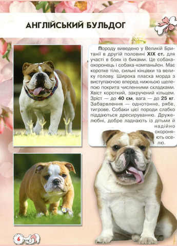 Мир вокруг нас. Собаки Кристал Бук (316081067)