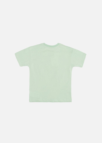 Оливкова літня футболка з коротким рукавом для хлопчика колір оливковий цб-00246528 First Kids