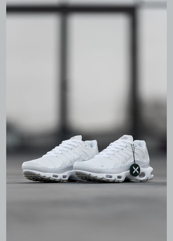 Белые демисезонные кроссовки мужские Nike Air Max TN Plus