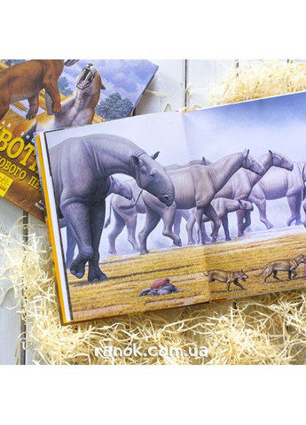 Книга No Brand (370440003)