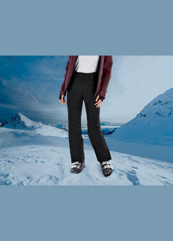 Горнолыжные брюки мембранные (3000мм) для женщины BIONIC-FINISH® ECO 363596 46(L) Crivit (264382250)