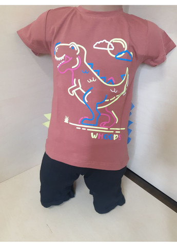 3Д Футболка для хлопчика Динозаври Туреччина теракота розміри 86 - 110 No Brand (370389595)
