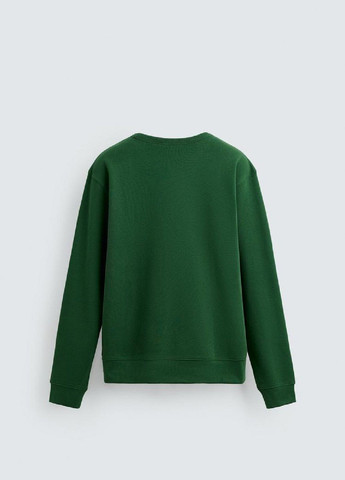 Зеленый свитшот Zara однотонный (355341981)