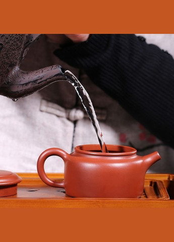 Чайник Де Чжун глиняний заварювальний ісинський 200 мл. (R-570nice-VS) No Brand (303348658)