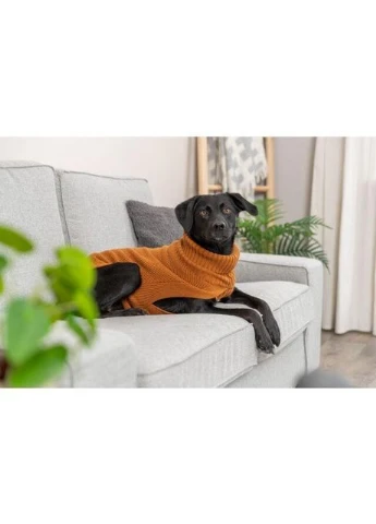 CityStyle пуловер "Berlin" XS для собак (24 см) (іржа) Trixie (392144312)