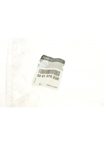 Рабочий цилиндр сцепления 2,0 16V Duster 2011- (306107623R) Renault (389880869)
