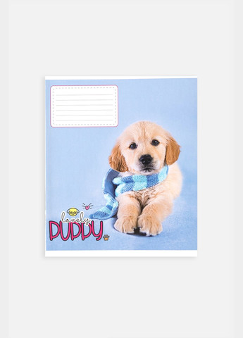 Тетрадь в клетку 18 листов цвет разноцветный CB-00255156 Фабрика Поліграфіст (342059023)