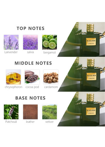 Парфуми чоловічі Lonkoom Black Oud No Brand (371144853)