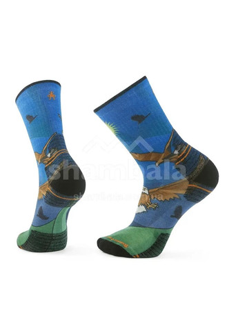 Шкарпетки чоловічі Hike Targeted Cushion Eagle Print Crew Man Різнокольоровий Smartwool (365307885)