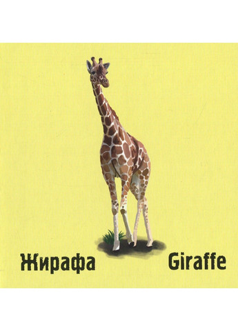 Книга Слідами тварин У савані Ірина Ткачук Читариум (297365513)