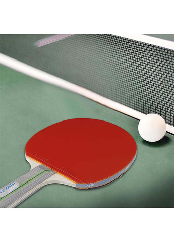 Ракетка для настільного тенісу Rave Action FL GEWO (367593341)