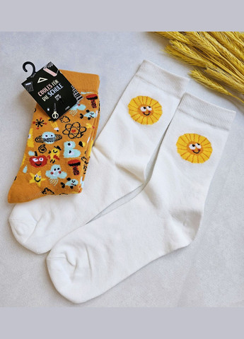 Шкарпетки дитячі набір 2 шт Lupilu Шкарпетки (329882475)